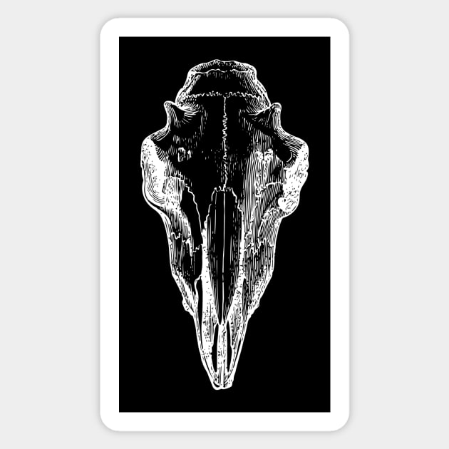 Cow Skull Sticker by tommartinart